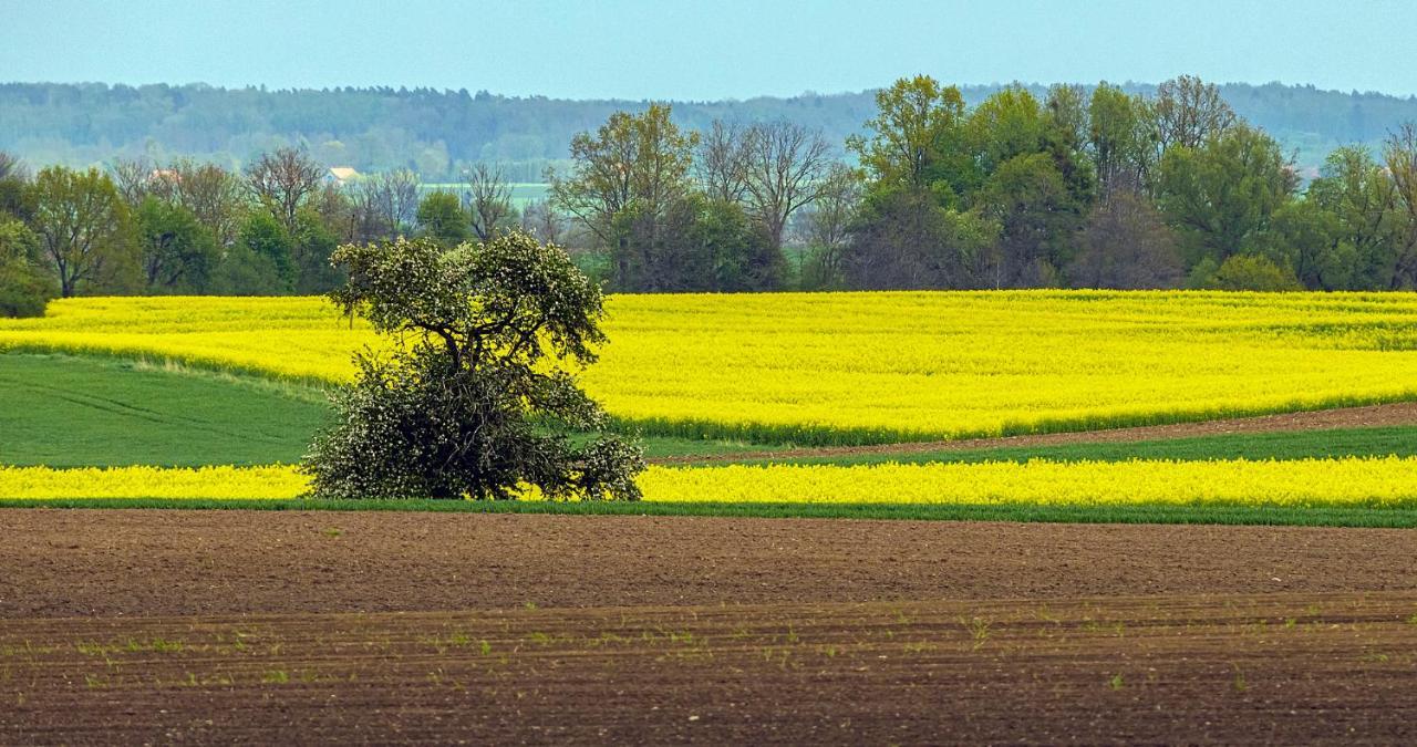 Cztery Luksusowe Domy Na Mazurach, Jezioro Juksty - Sakurarest Sniadowo  Esterno foto